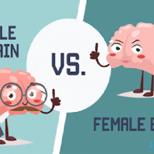 Women have more active brains than men, according to science?(महिलाओं का मस्तिष्क अधिक सक्रिय क्यों होता हैं) पुरुषों की तुलना में महिलाओं का मस्तिष्क अधिक सक्रिय क्यों होता है